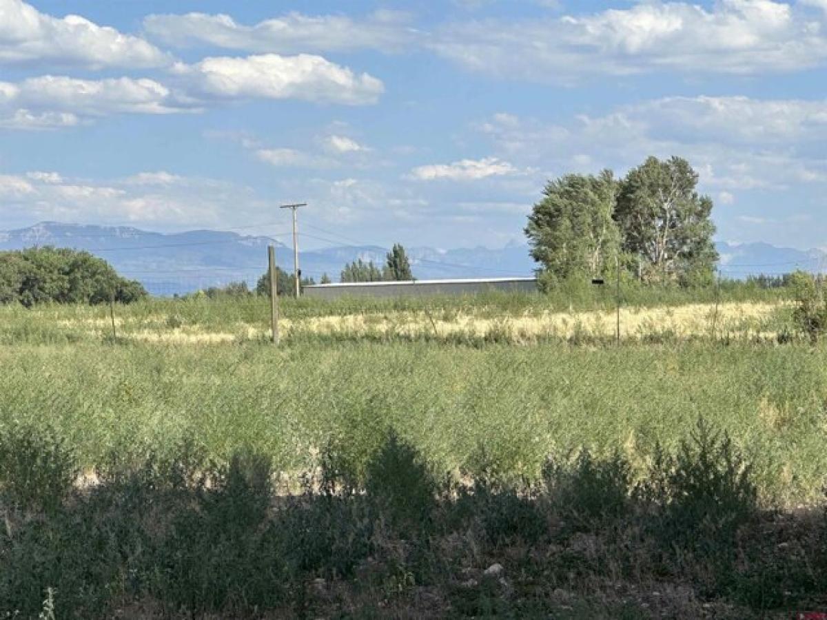 Picture of Residential Land For Sale in Olathe, Colorado, United States