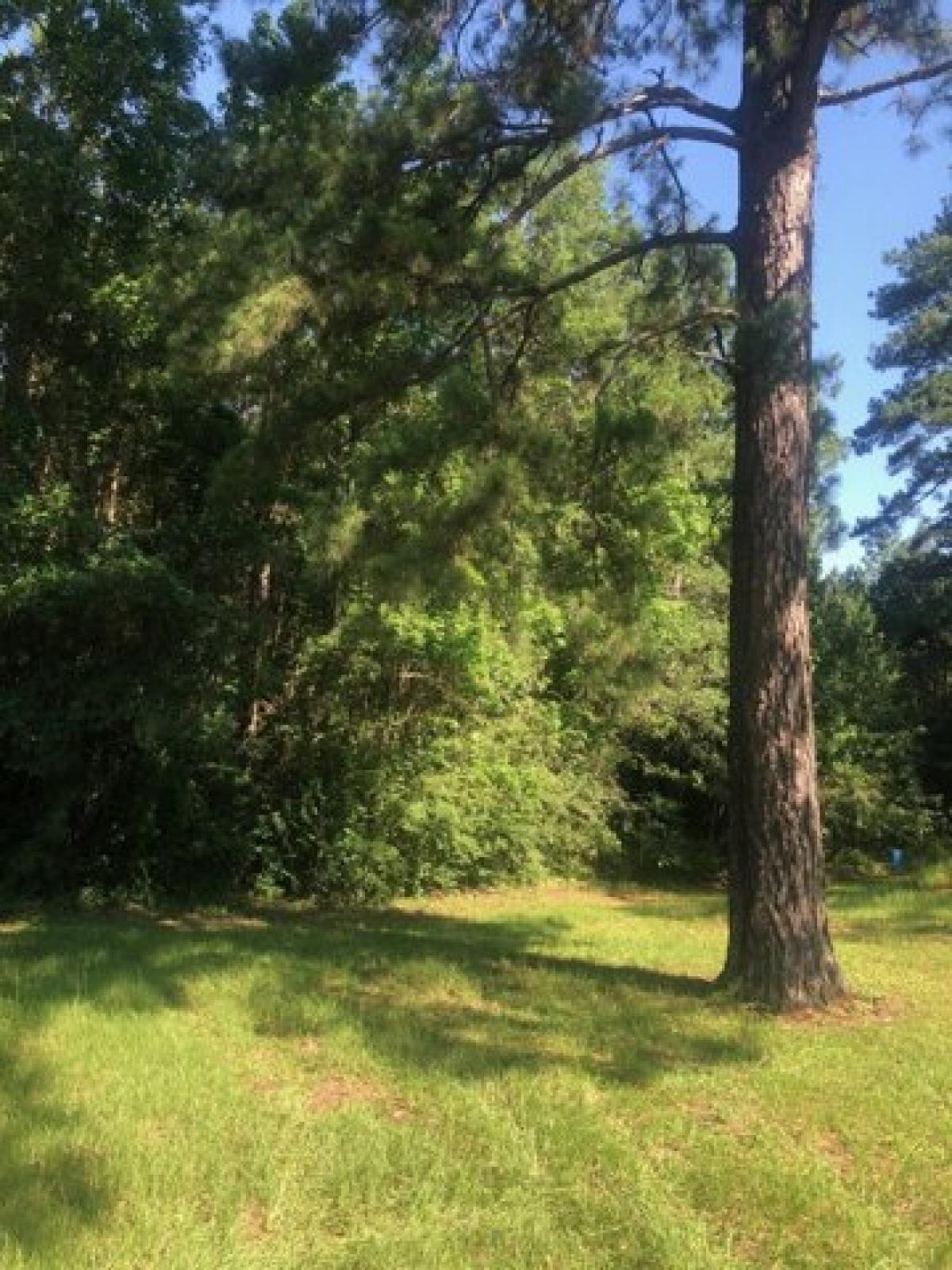 Picture of Residential Land For Sale in Many, Louisiana, United States