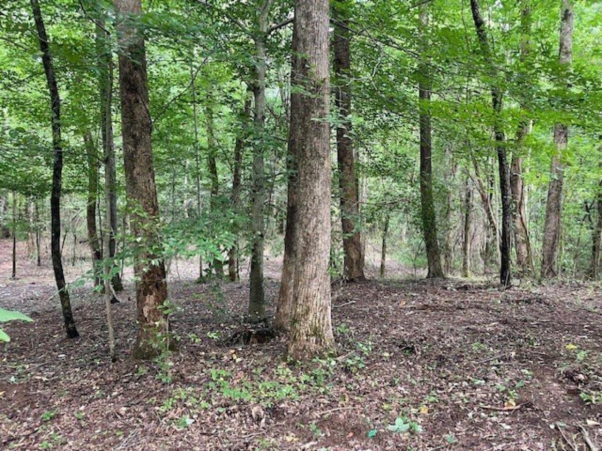 Picture of Residential Land For Sale in Mcminnville, Tennessee, United States