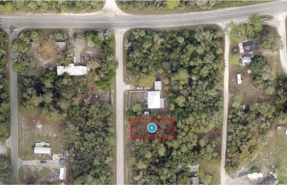 Picture of Residential Land For Sale in Paisley, Florida, United States