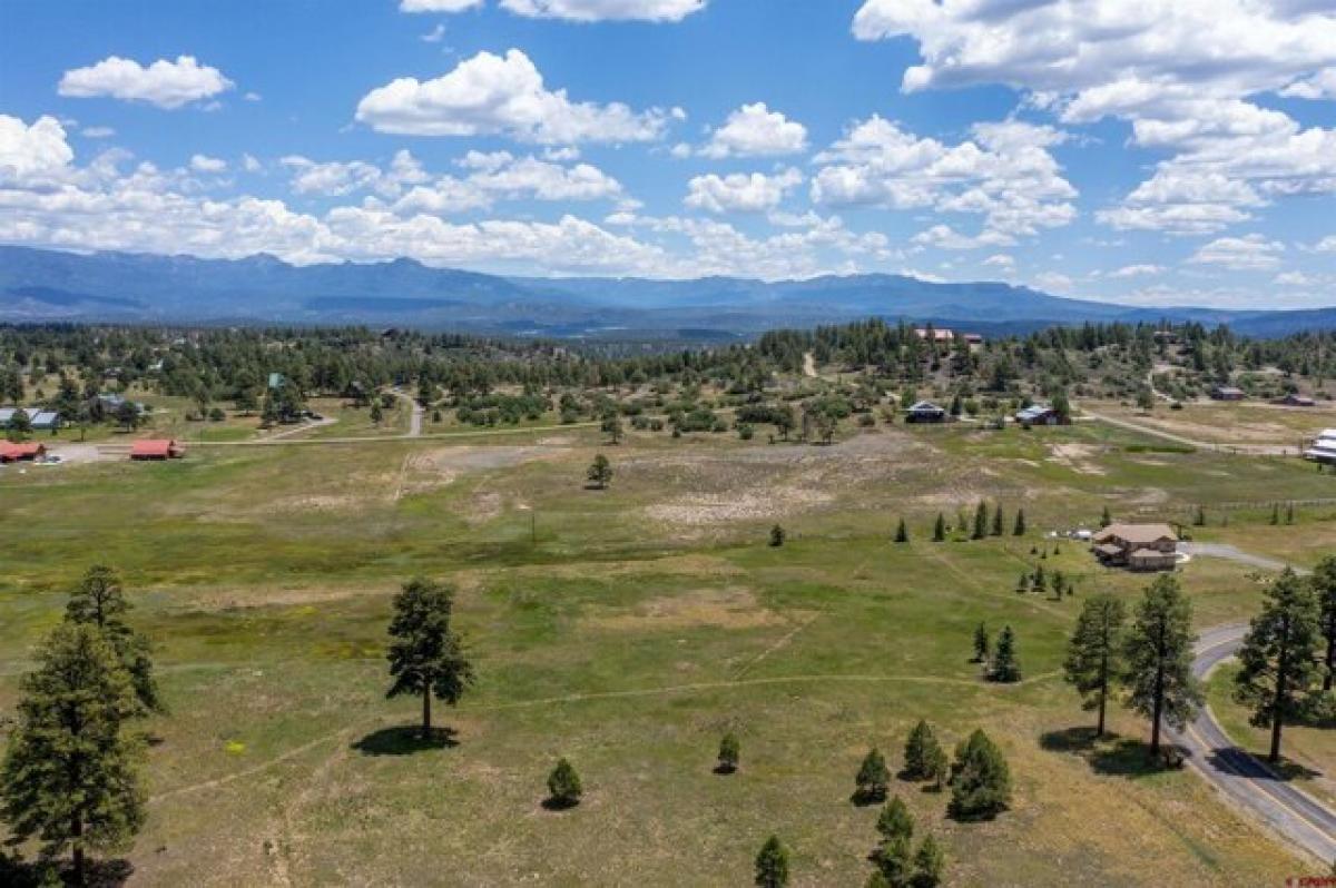 Picture of Residential Land For Sale in Pagosa Springs, Colorado, United States