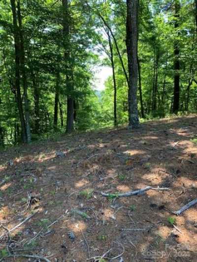 Residential Land For Sale in McGrady, North Carolina