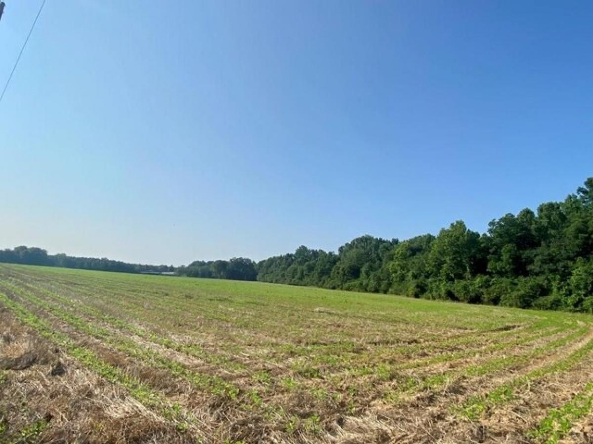 Picture of Residential Land For Sale in Montrose, Georgia, United States