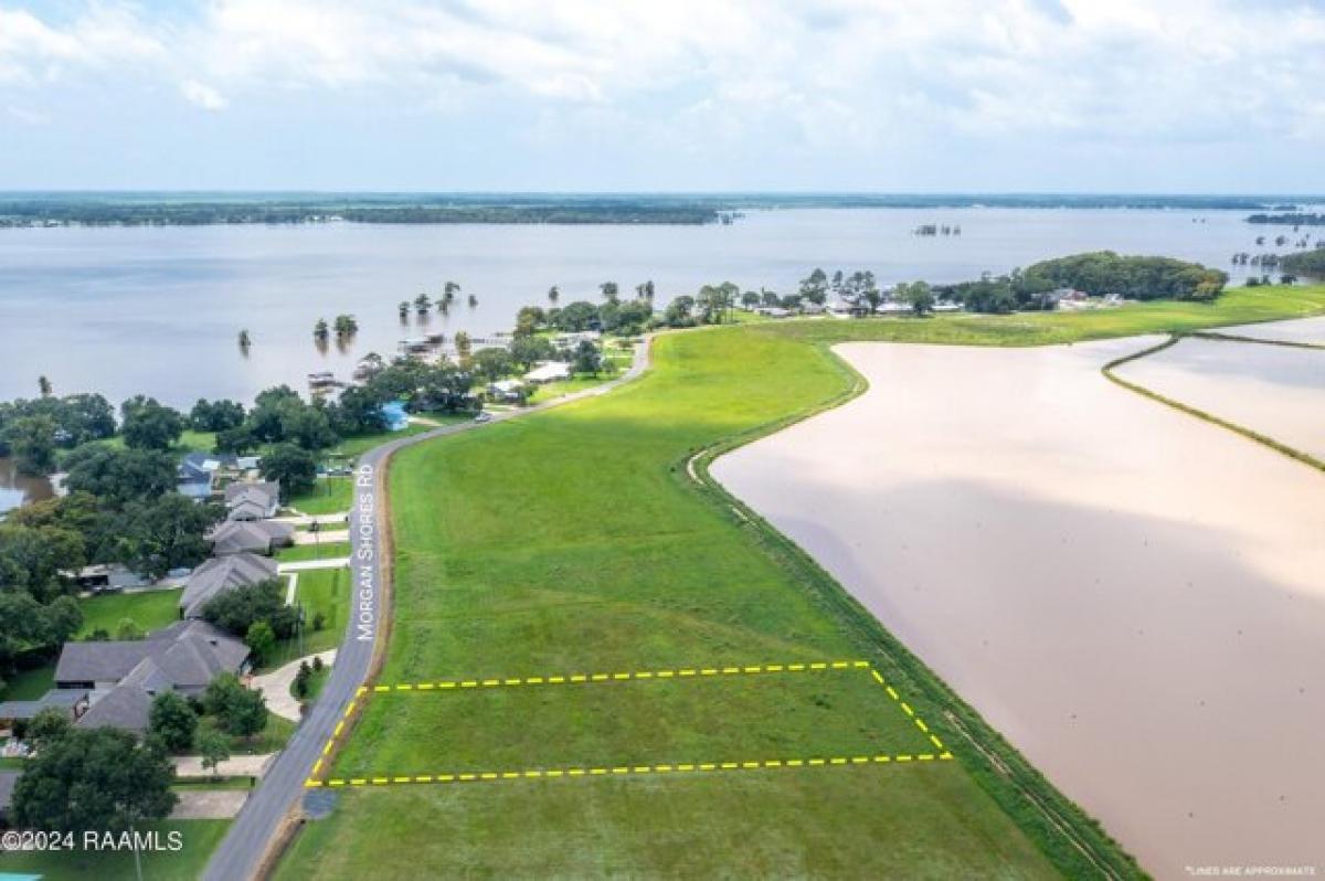 Picture of Residential Land For Sale in Lake Arthur, Louisiana, United States