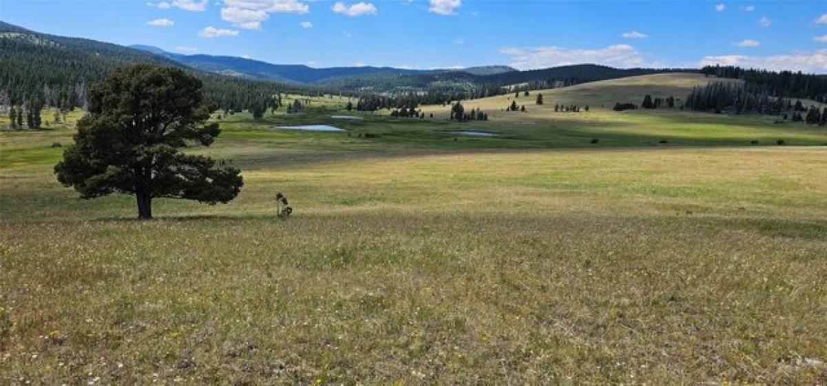 Picture of Residential Land For Sale in Canyon Creek, Montana, United States