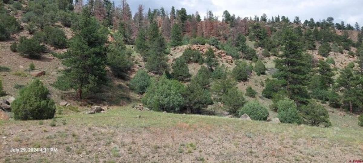 Picture of Residential Land For Sale in South Fork, Colorado, United States