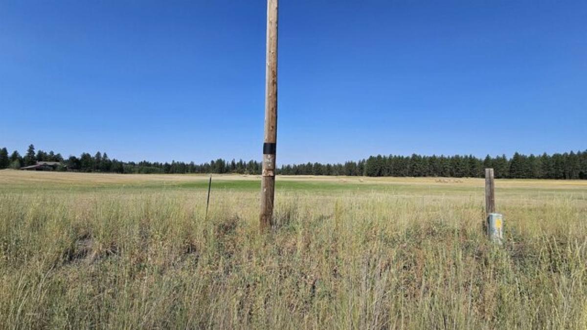 Picture of Residential Land For Sale in Spangle, Washington, United States