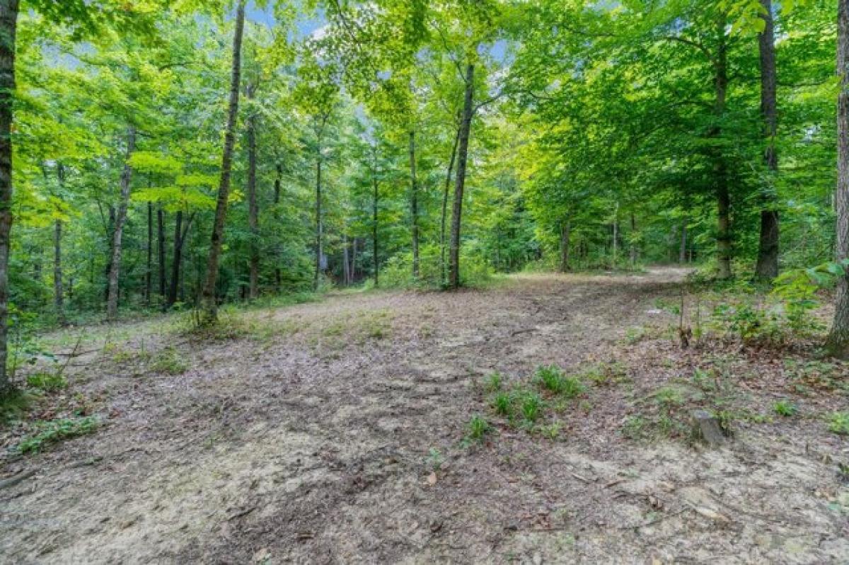 Picture of Residential Land For Sale in Vanleer, Tennessee, United States