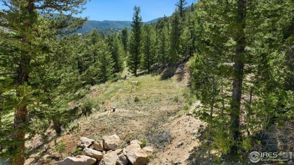 Picture of Residential Land For Sale in Estes Park, Colorado, United States