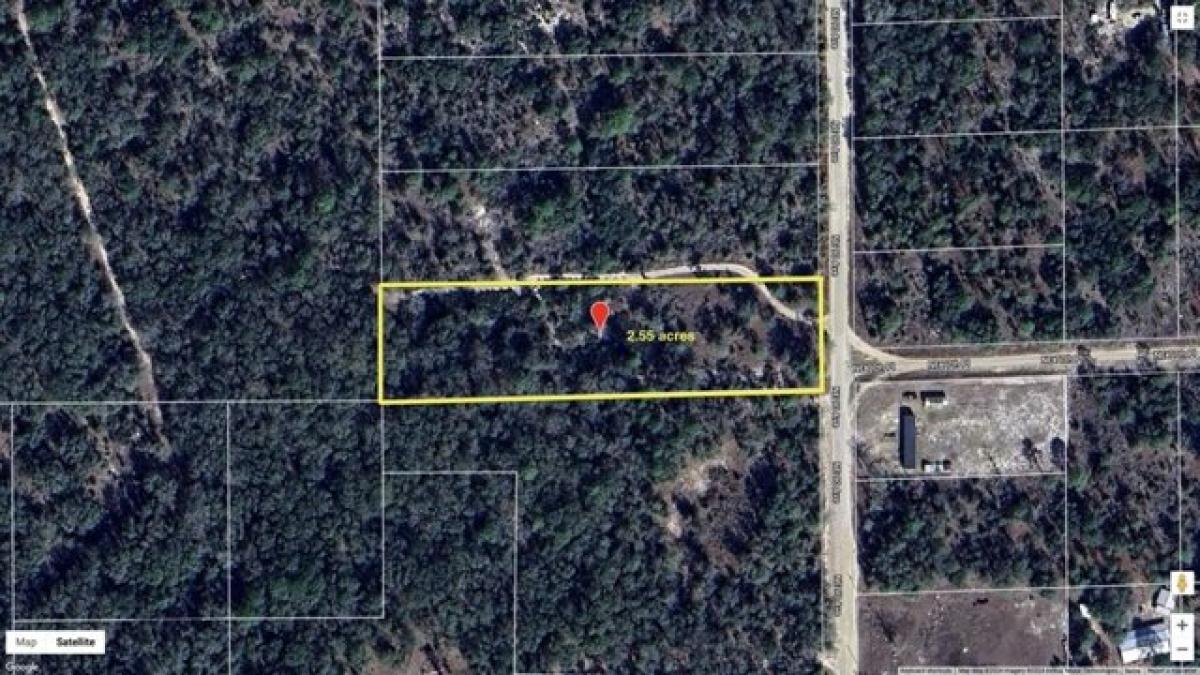 Picture of Residential Land For Sale in Bronson, Florida, United States