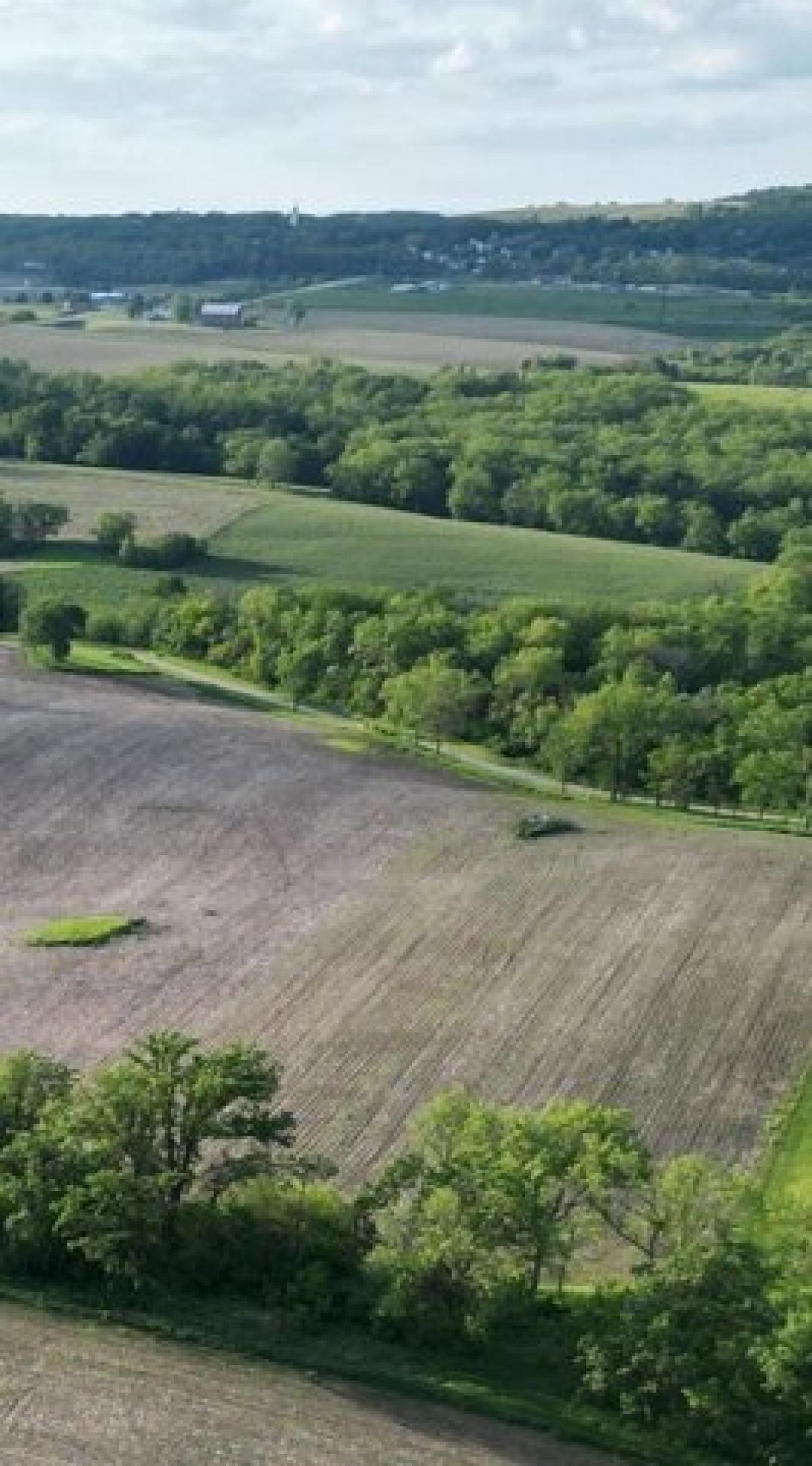 Picture of Residential Land For Sale in Blue Mounds, Wisconsin, United States