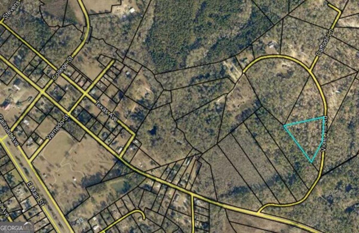 Picture of Residential Land For Sale in Soperton, Georgia, United States