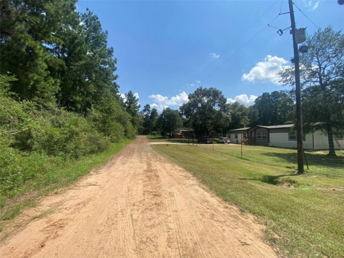 Picture of Residential Land For Sale in Plantersville, Texas, United States