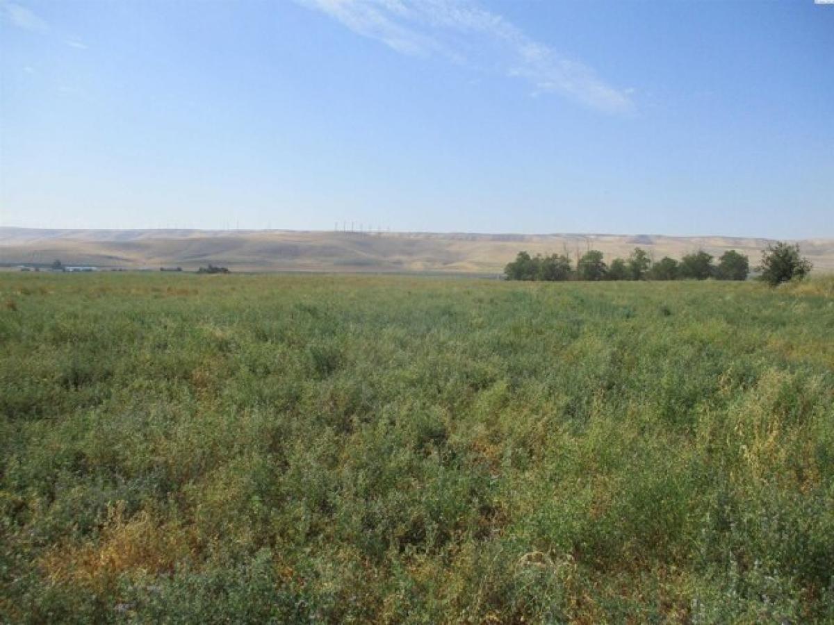 Picture of Residential Land For Sale in Touchet, Washington, United States