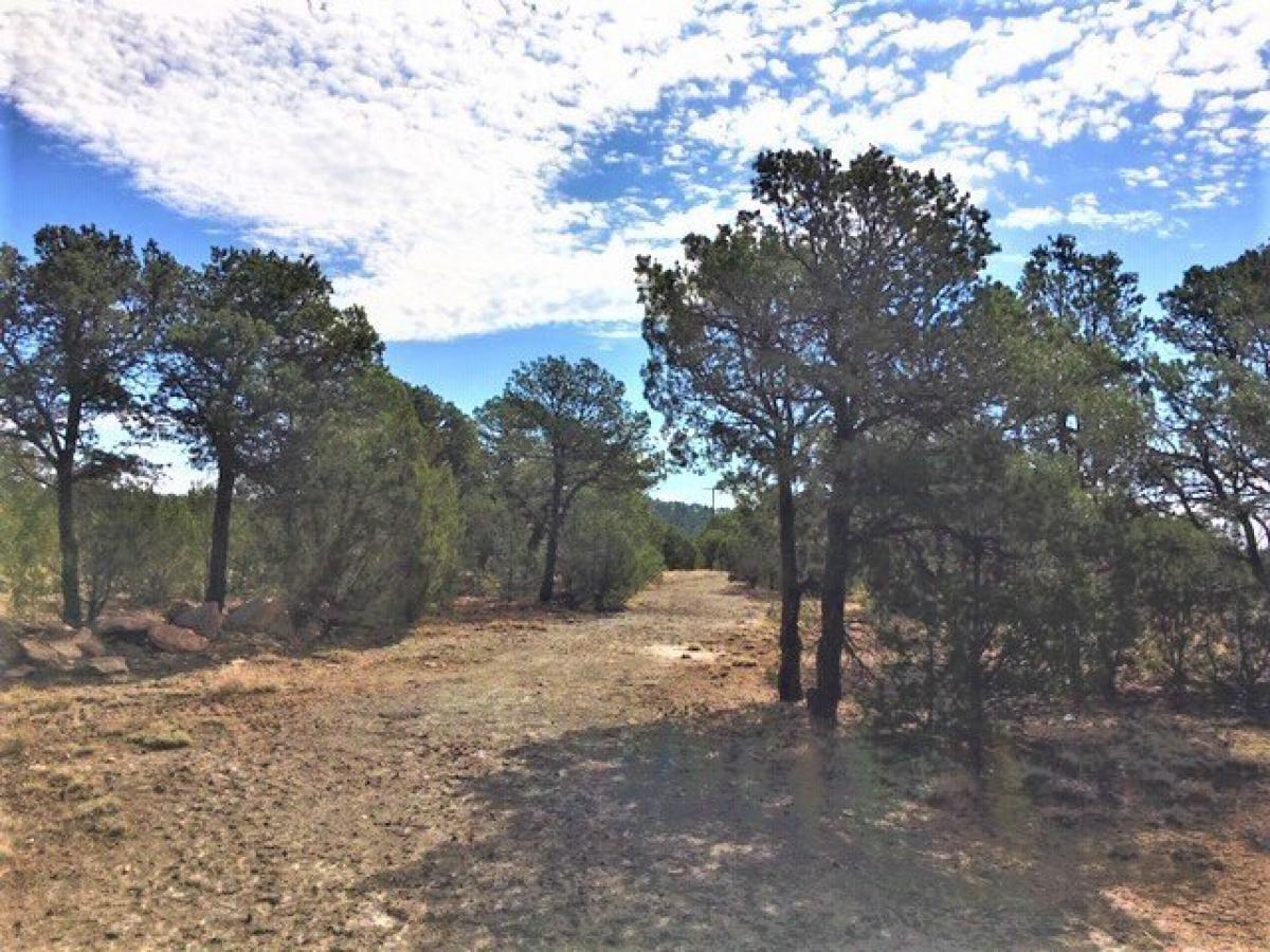 Picture of Residential Land For Sale in Las Vegas, New Mexico, United States