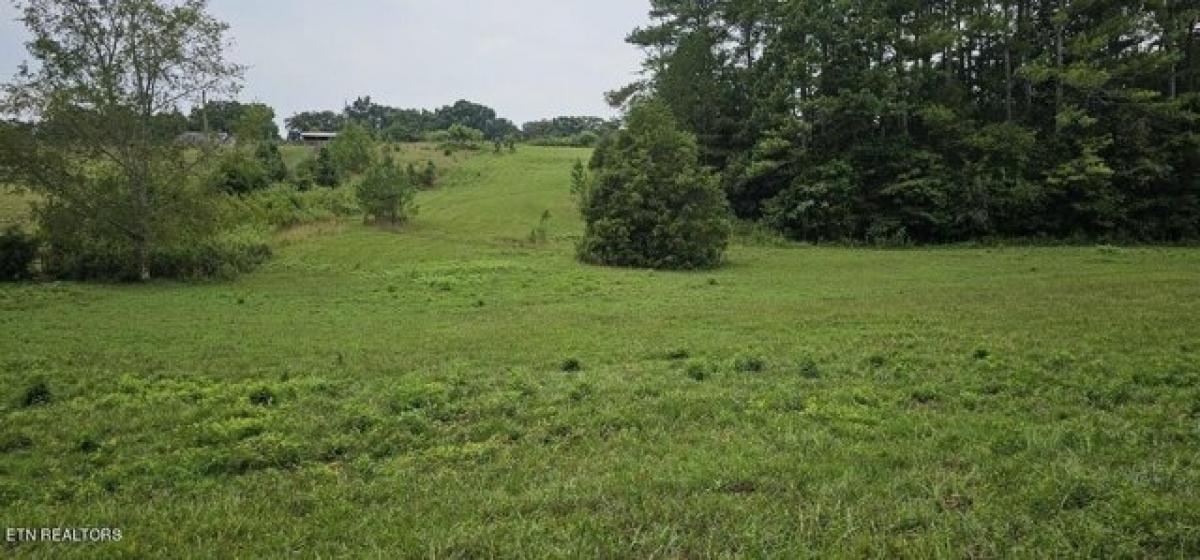 Picture of Residential Land For Sale in Maryville, Tennessee, United States