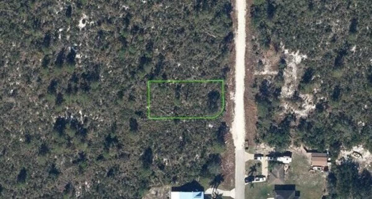 Picture of Residential Land For Rent in Lake Placid, Florida, United States