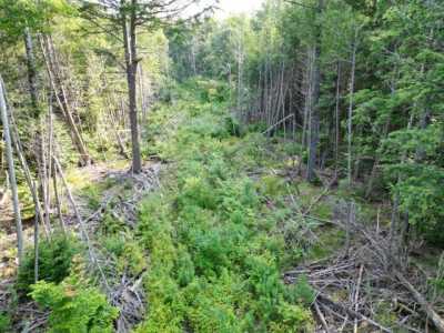 Residential Land For Sale in Springfield, Maine