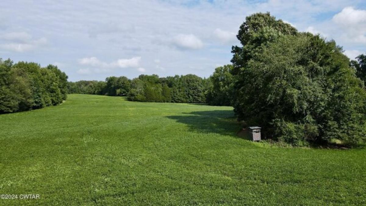 Picture of Residential Land For Sale in Milan, Tennessee, United States