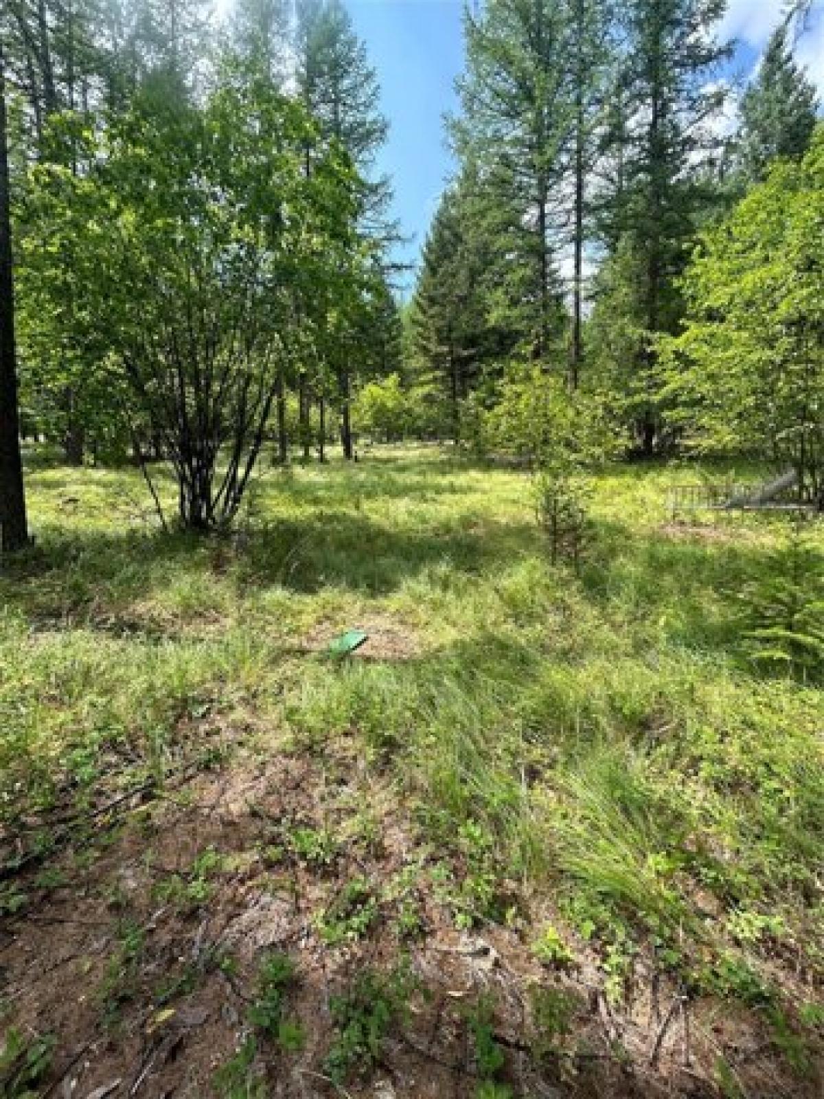 Picture of Residential Land For Sale in Kalispell, Montana, United States