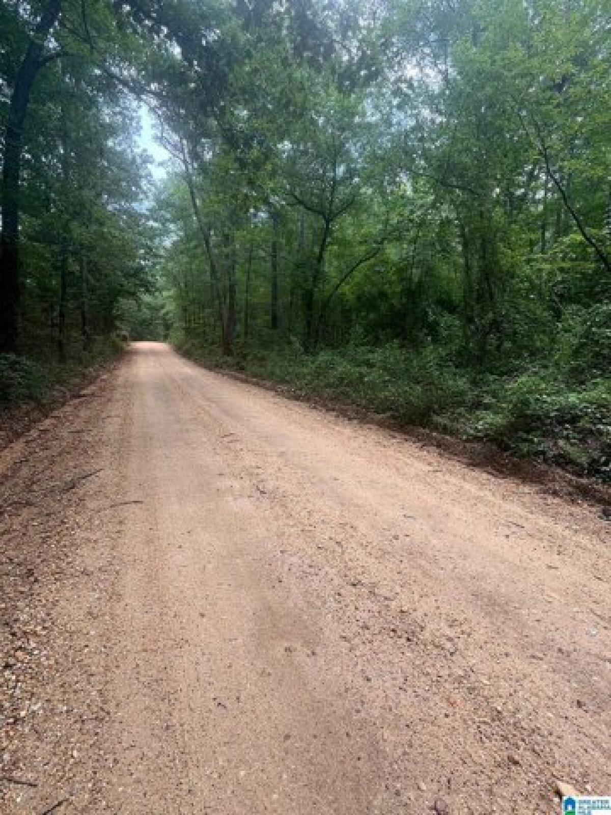 Picture of Residential Land For Sale in Clanton, Alabama, United States