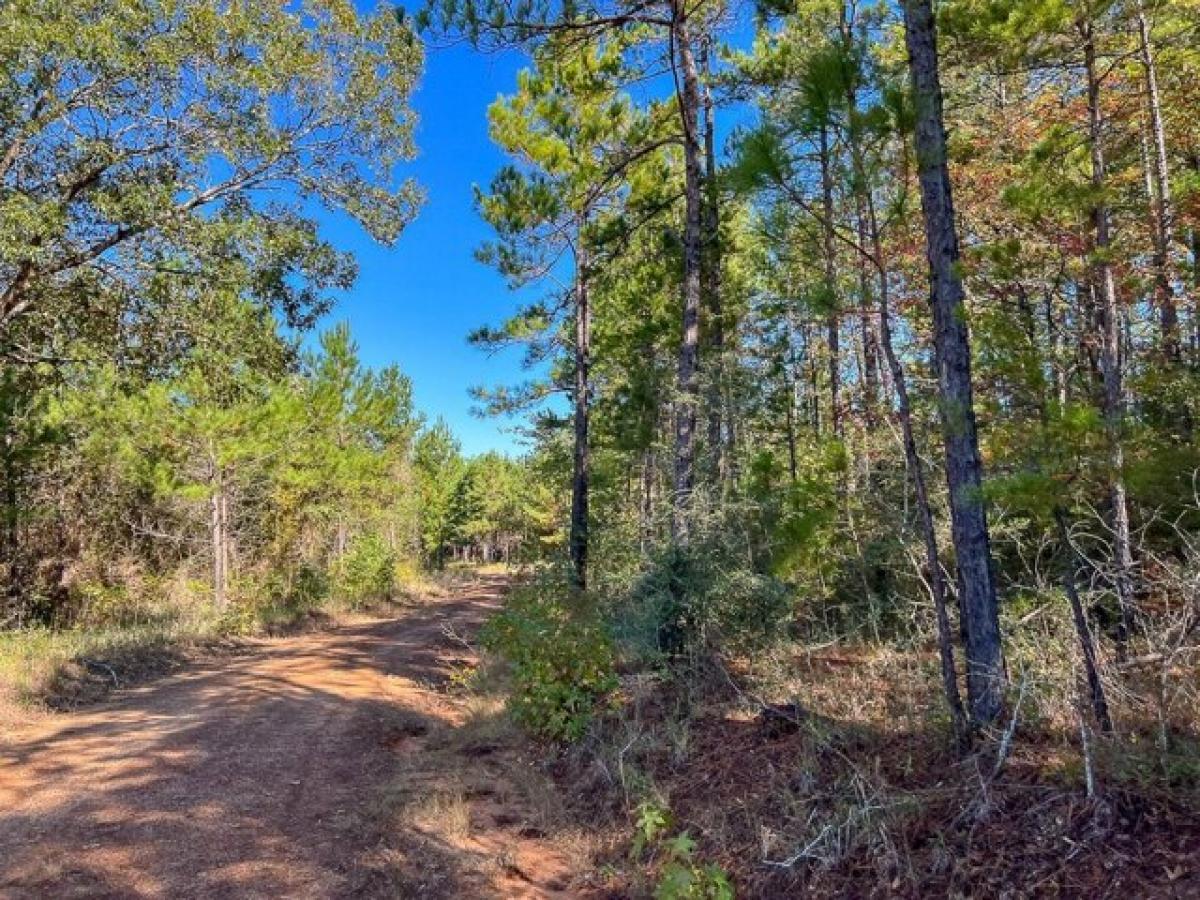 Picture of Residential Land For Sale in Center, Texas, United States