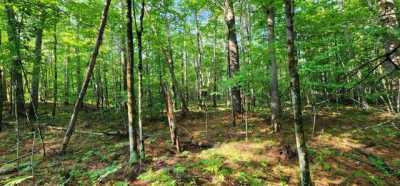 Residential Land For Sale in Jay, New York