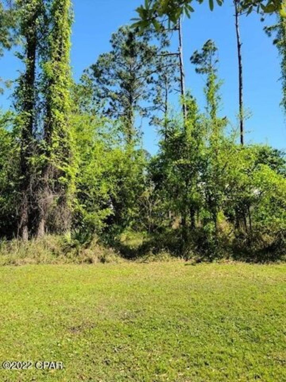 Picture of Residential Land For Sale in Panama City Beach, Florida, United States