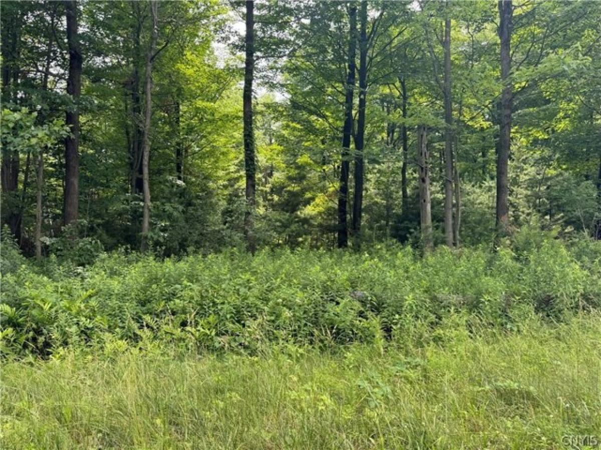 Picture of Residential Land For Sale in Calcium, New York, United States