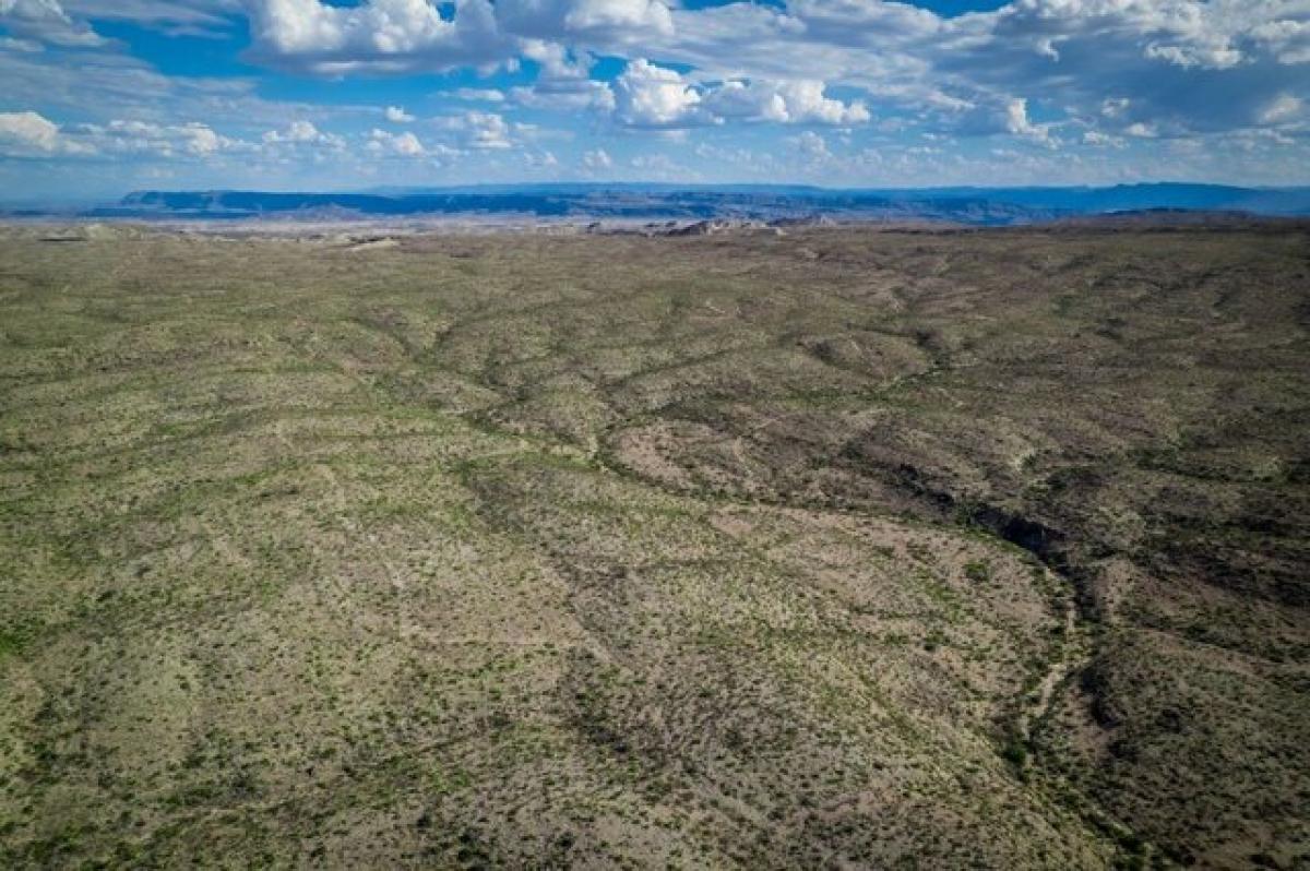 Picture of Residential Land For Sale in Terlingua, Texas, United States