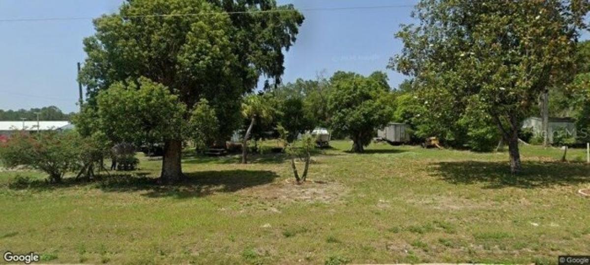 Picture of Residential Land For Sale in Odessa, Florida, United States