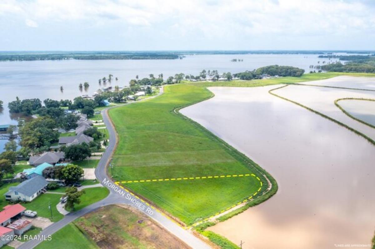 Picture of Residential Land For Sale in Lake Arthur, Louisiana, United States