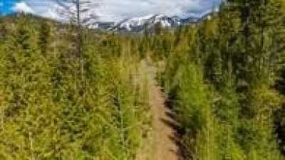 Residential Land For Sale in Whitefish, Montana