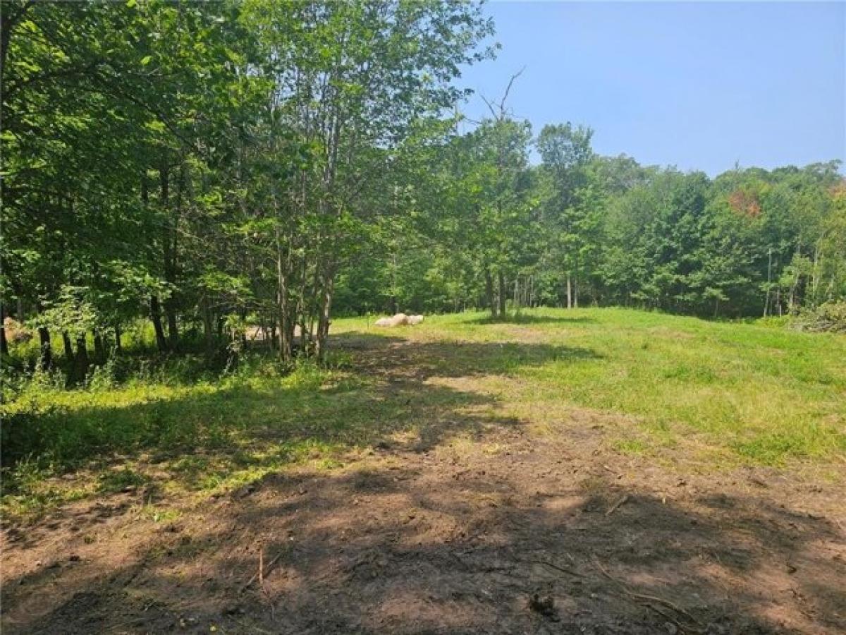 Picture of Residential Land For Sale in Ironton, Minnesota, United States