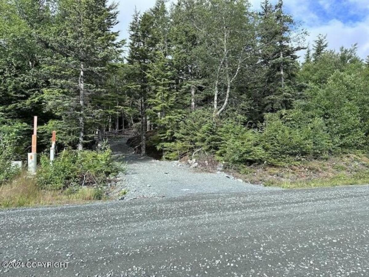 Picture of Residential Land For Sale in Haines, Alaska, United States