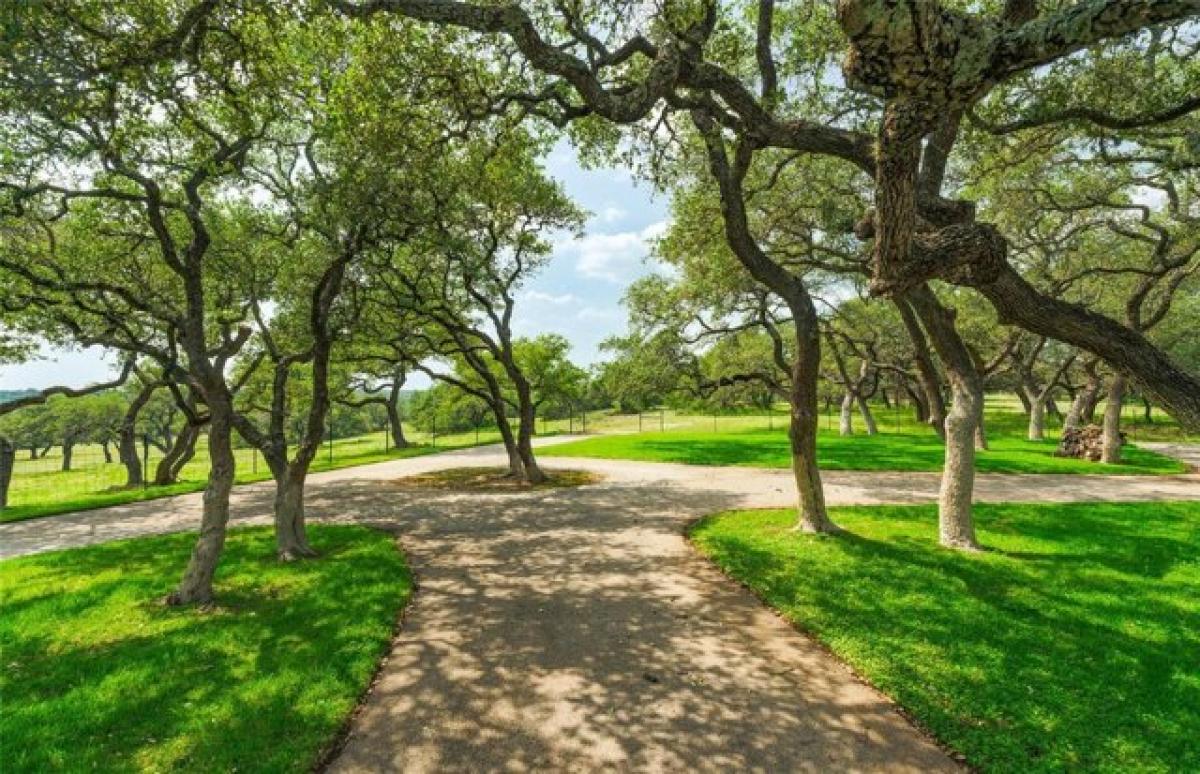 Picture of Residential Land For Sale in Round Mountain, Texas, United States