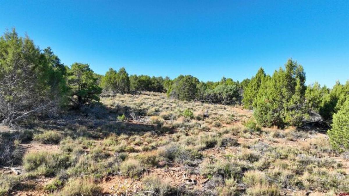 Picture of Residential Land For Sale in Norwood, Colorado, United States