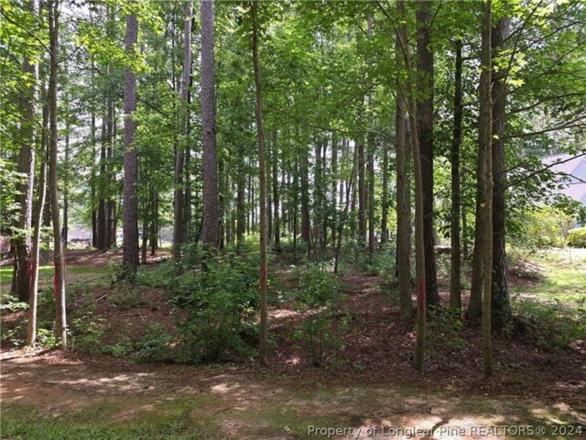 Picture of Residential Land For Sale in Vass, North Carolina, United States