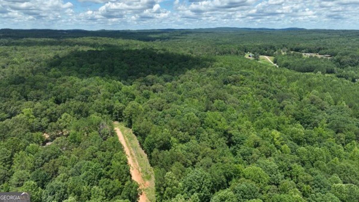 Picture of Residential Land For Sale in Heflin, Alabama, United States