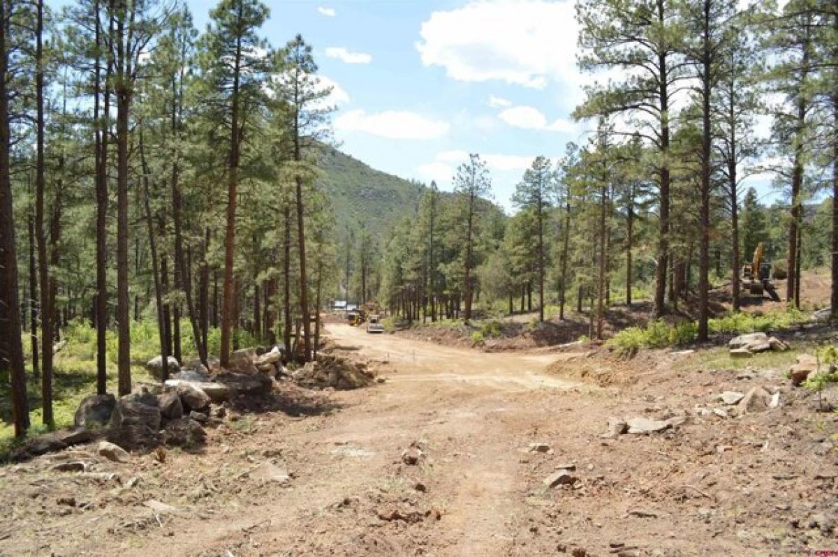 Picture of Residential Land For Sale in Durango, Colorado, United States