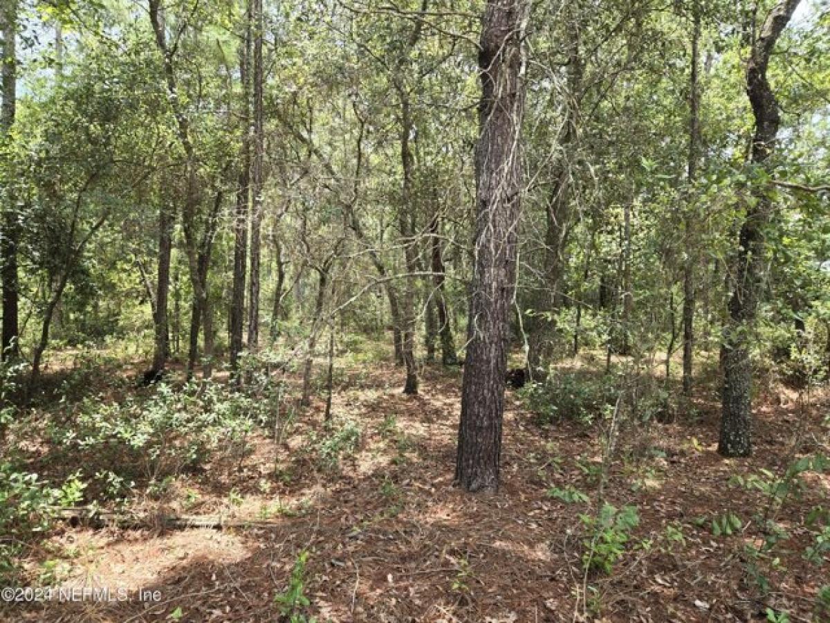 Picture of Residential Land For Sale in Keystone Heights, Florida, United States