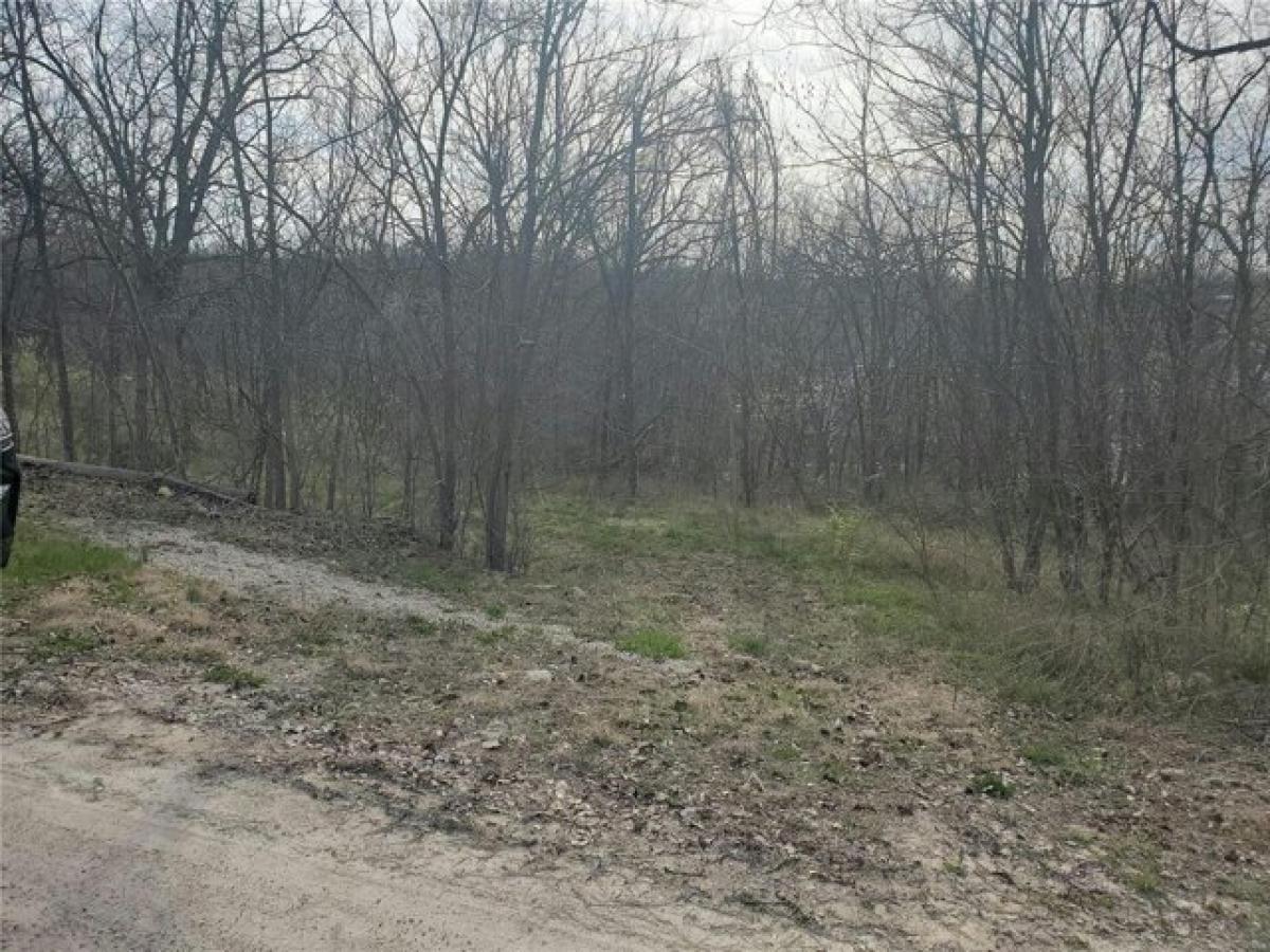 Picture of Residential Land For Rent in Frankford, Missouri, United States