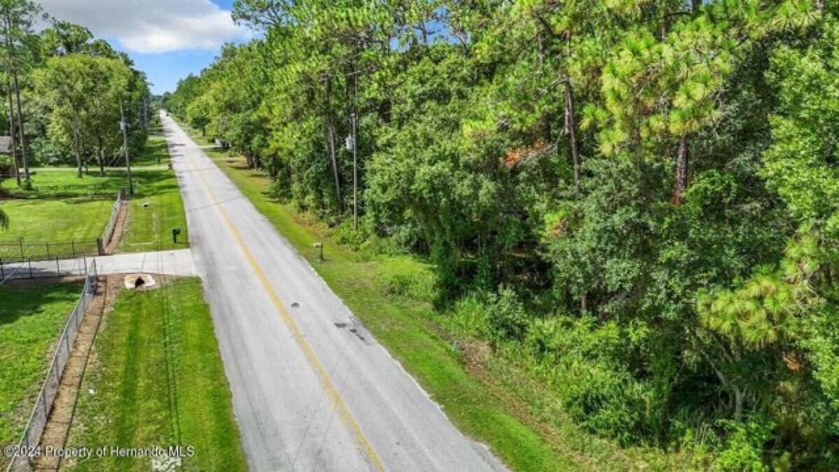 Picture of Residential Land For Sale in Wesley Chapel, Florida, United States