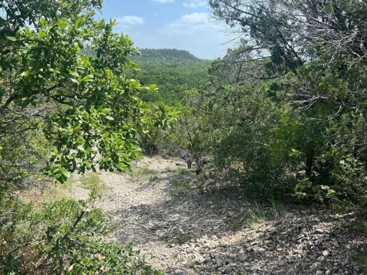 Picture of Residential Land For Sale in Kopperl, Texas, United States