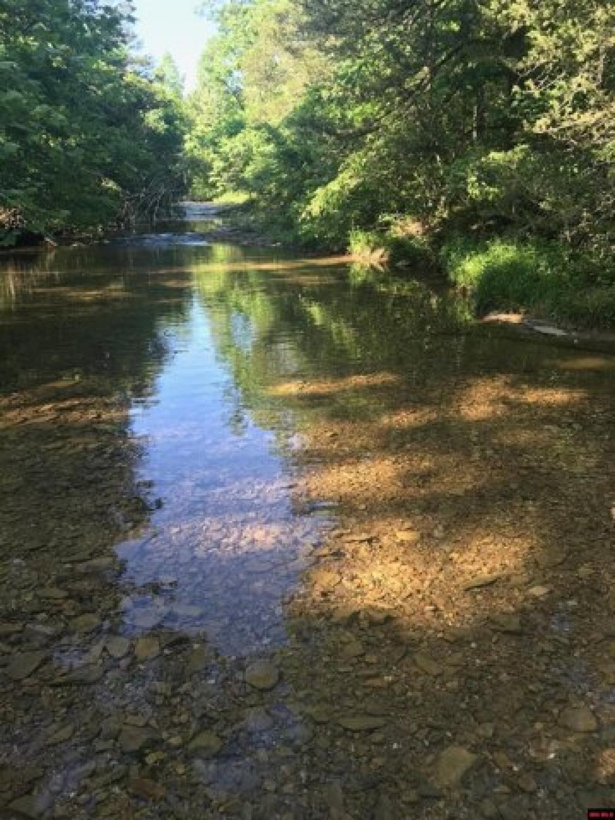 Picture of Residential Land For Sale in Flippin, Arkansas, United States