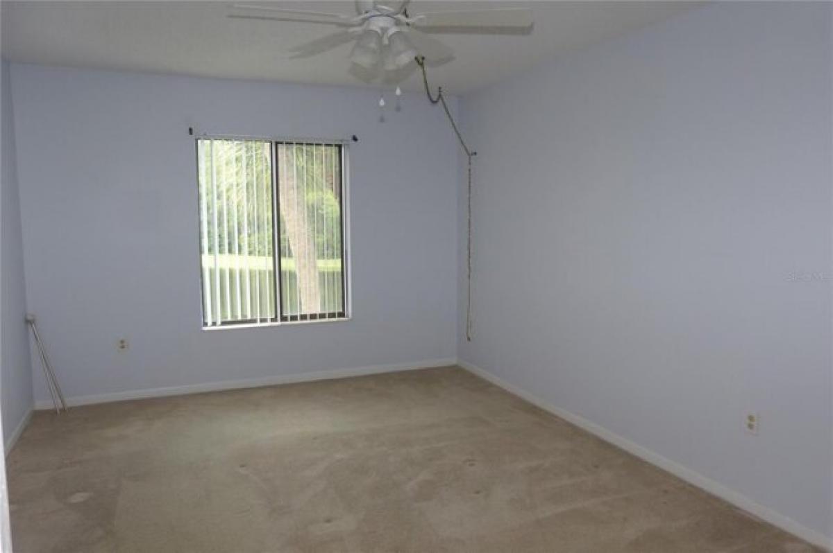 Picture of Home For Rent in Tarpon Springs, Florida, United States