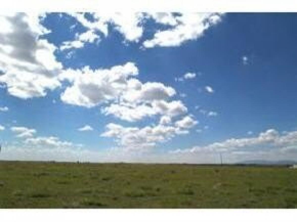 Picture of Residential Land For Sale in Moriarty, New Mexico, United States