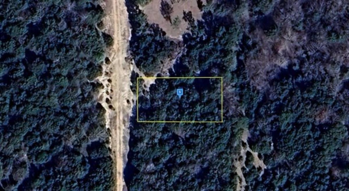 Picture of Residential Land For Sale in Midlothian, Texas, United States