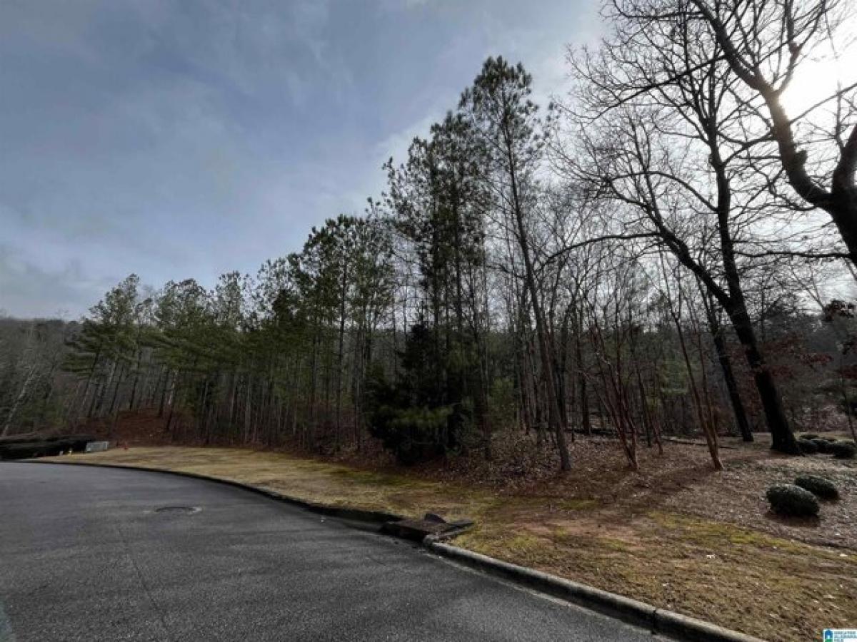 Picture of Residential Land For Sale in Hoover, Alabama, United States