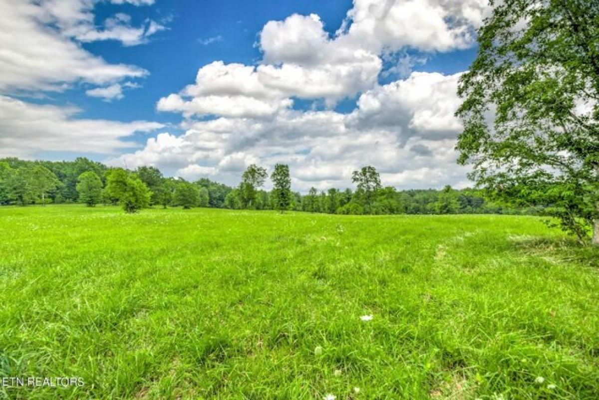 Picture of Residential Land For Sale in Deer Lodge, Tennessee, United States